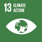 UN SDG Climate action