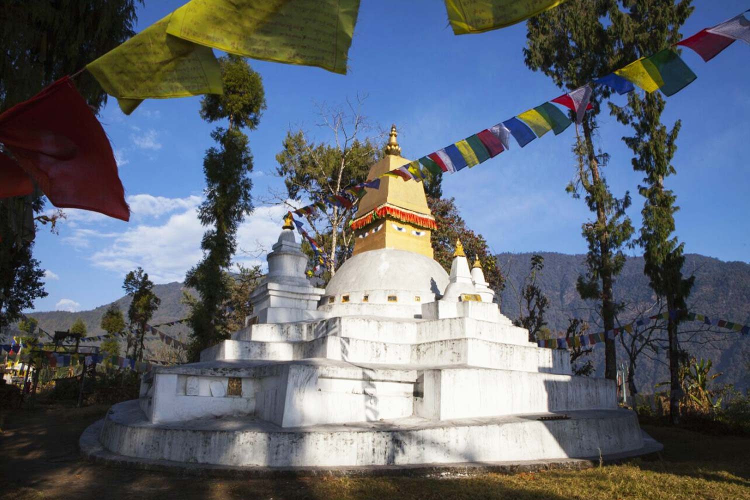 Stupas and monasteries