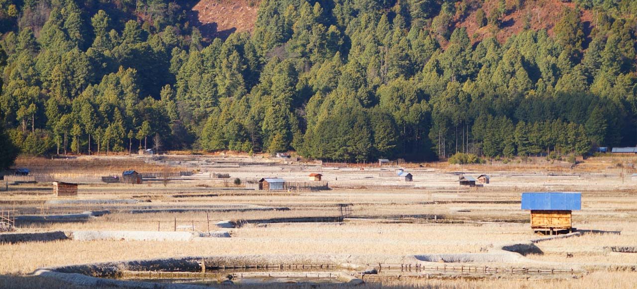 Header image of the tour from Ziro valley