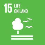 UN SDG Life on land