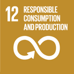 UN SDG Responsible consumption and production