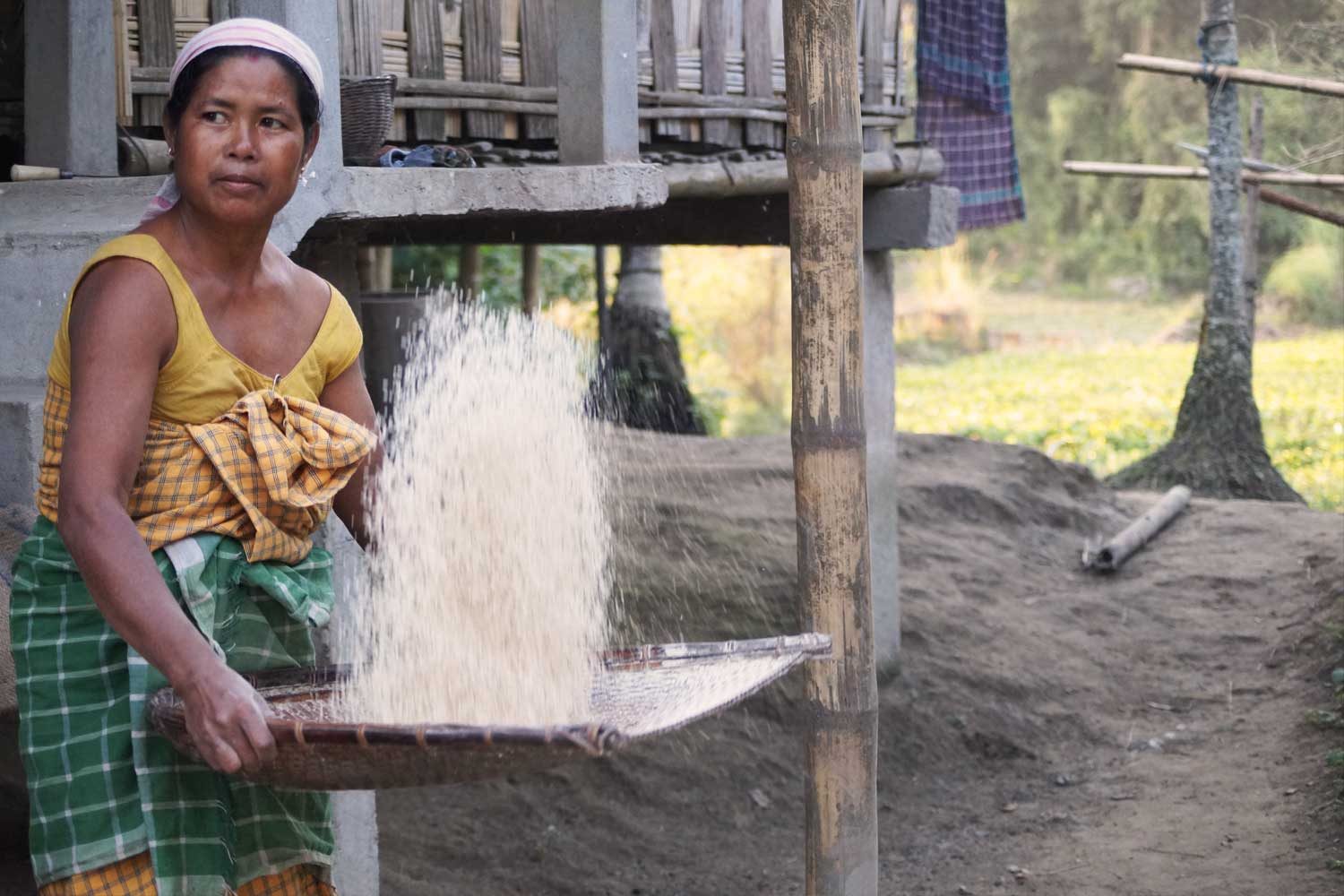 Daily chores in Assamese villages