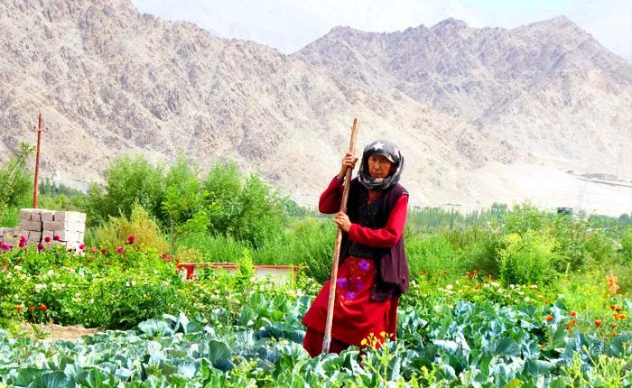 The Folk Tales of Ladakh