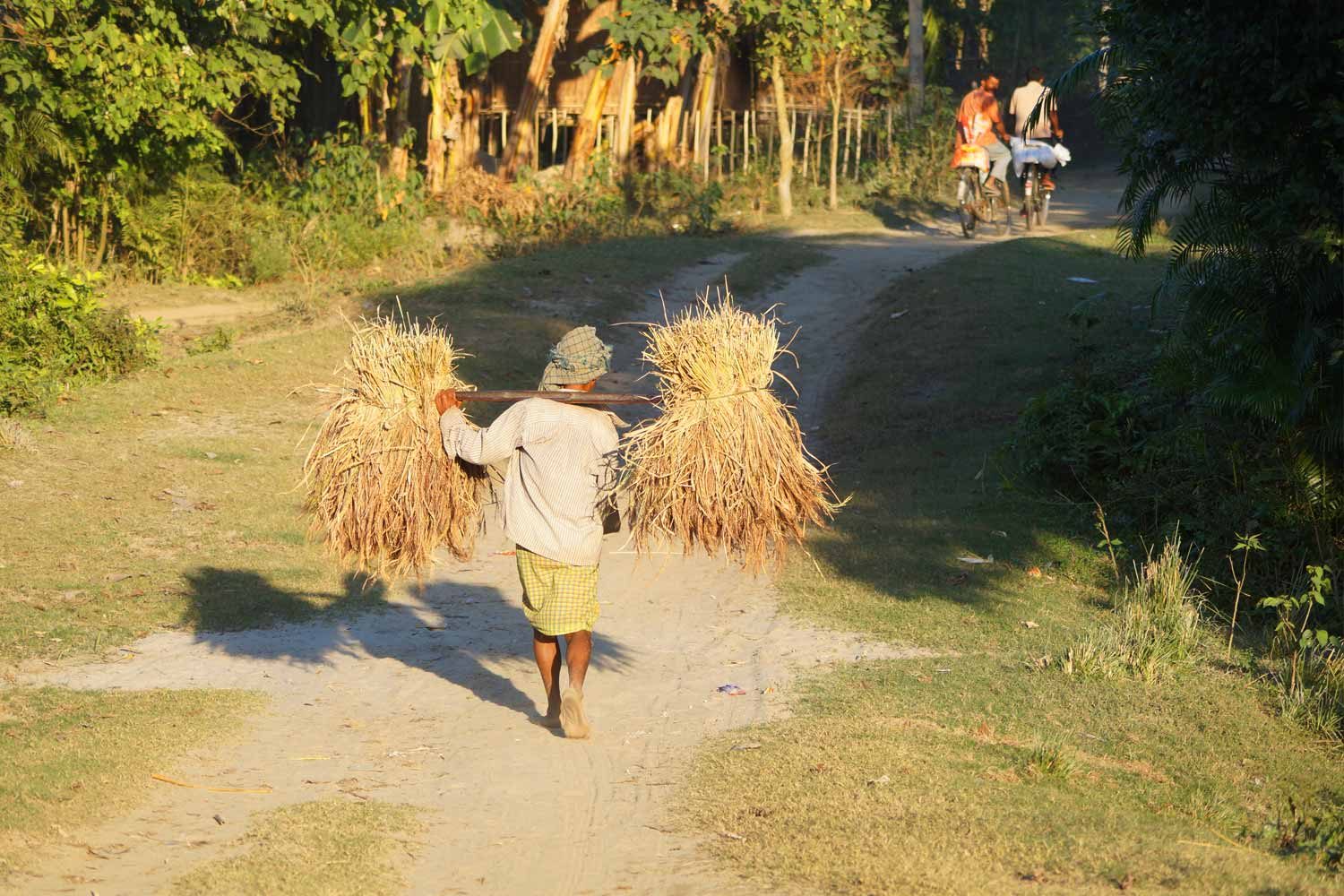 Village life Majuli island