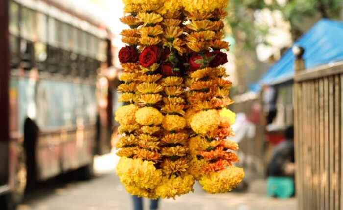 Jaipur spiritual tour