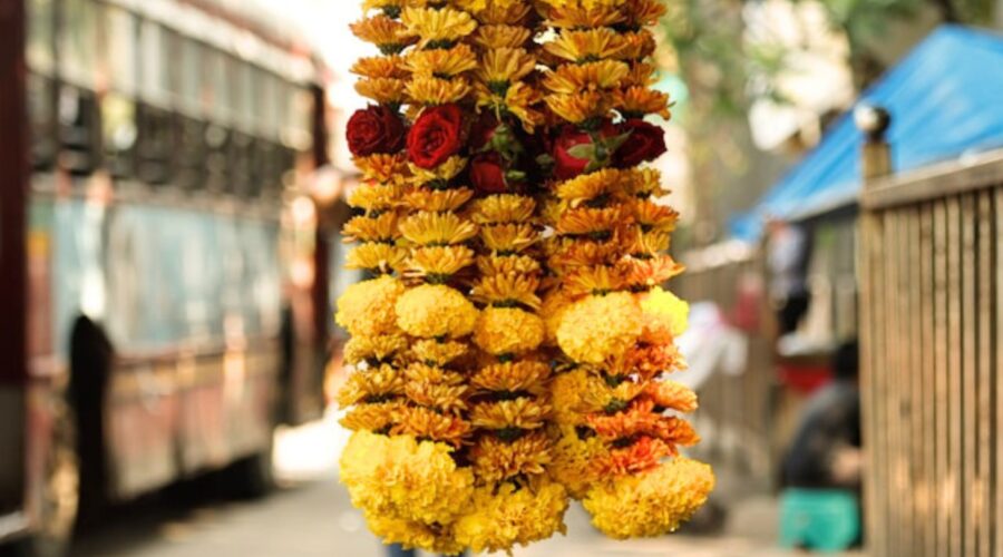 Jaipur spiritual tour